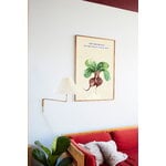 Paper Collective The Beetroots poster, decoration image