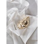 Skultuna Abridor de botellas Oyster, latón, imagen de decoración