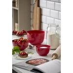 Rosti Margrethe mixing bowl, 1.5 L, red, decoration image