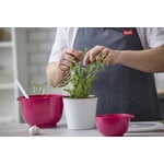 Rosti Margrethe mixing bowl 3 L, beetroot, decoration image