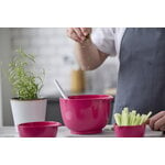 Rosti Margrethe mixing bowl 3 L, beetroot, decoration image