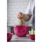 Rosti Margrethe mixing bowl 3 L, beetroot, decoration image