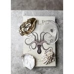 Skultuna Abridor de botellas Oyster, latón, imagen de decoración