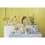 Muuto Silent vase, 11 cm, clear, decoration image