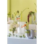 Muuto Silent vase, 11 cm, clear, decoration image