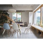 Vitra Eames DSW chair, forest - maple - ivory/forest cushion