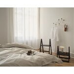 Gejst Reech Step ladder, dark ash, decoration image