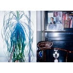 Apartamento Apartamento, Issue 35, decoration image