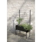 Eva Solo Grigliato per fioriera Simply Grow, nero, immagine decorativa