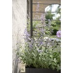 Eva Solo Grigliato per fioriera Simply Grow, nero, immagine decorativa