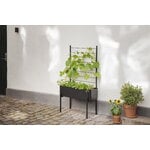 Eva Solo Grigliato per fioriera Simply Grow, nero, immagine decorativa