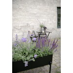 Eva Solo Simply Grow kasvilaatikko jalustalla, 80 x 33 cm, musta, sisustuskuva