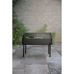 Eva Solo Vaso con supporto Simply Grow, 80 x 33 cm, nero, immagine decorativa