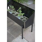 Eva Solo Vaso con supporto Simply Grow, 80 x 33 cm, nero, immagine decorativa