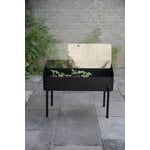 Eva Solo Vaso con supporto Simply Grow, 80 x 33 cm, nero, immagine decorativa