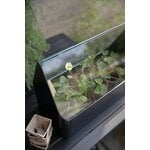 Eva Solo Simply Grow minikasvihuone, 42 x 20 cm, musta, sisustuskuva