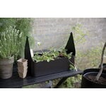 Eva Solo Simply Grow minikasvihuone, 42 x 20 cm, musta, sisustuskuva