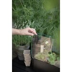 Eva Solo Simply Grow minikasvihuone, 42 x 20 cm, musta, sisustuskuva