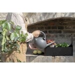 Eva Solo Simply Grow minikasvihuone, 42 x 20 cm, musta, sisustuskuva