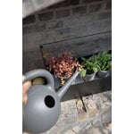 Eva Solo Simply Grow minikasvihuone, 42 x 20 cm, musta, sisustuskuva