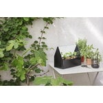Eva Solo Simply Grow minikasvihuone, 42 x 20 cm, musta, sisustuskuva
