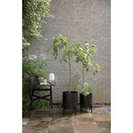Eva Solo Vaso per piante Simply Grow, 37 cm, grande, nero, immagine decorativa