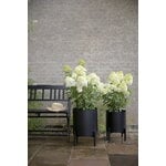 Eva Solo Vaso per piante Simply Grow, 37 cm, grande, nero, immagine decorativa