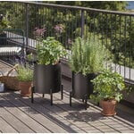 Eva Solo Vaso per piante Simply Grow, 37 cm, grande, nero, immagine decorativa