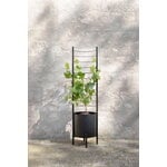 Eva Solo Trellis per vaso Simply Grow, per vaso da 37 cm, nero, immagine decorativa