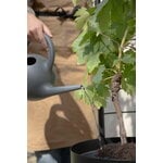 Eva Solo Trellis per vaso Simply Grow, per vaso da 37 cm, nero, immagine decorativa