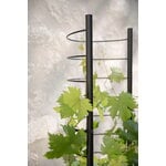 Eva Solo Trellis per vaso Simply Grow, per vaso da 37 cm, nero, immagine decorativa