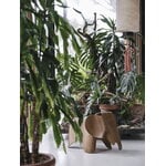 Vitra Eames Elephant, compensato, noce, immagine decorativa