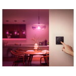Philips Hue Tap Dial switch, black, decoration image