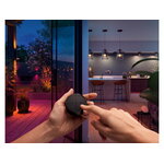 Philips Hue Tap Dial switch, black, decoration image
