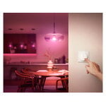 Philips Hue Tap Dial switch, blanco, imagen de decoración