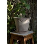 Bergs Potter Københavner Blumentopf mit Untersetzer, rohgrau, dekorationsbild