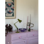 Anglepoise 90 Mini Mini desk lamp, avocado green, decoration image