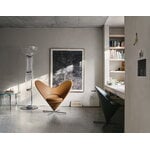 Vitra Heart Cone Chair poltrona lounge, acciaio - Leather Premium F 97 cognac, immagine decorativa