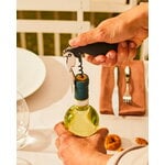 Alessi Parrot sommelier corkscrew, Proust, decoration image