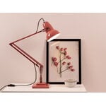 Anglepoise Original 1227 desk lamp, coral red, decoration image