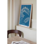 Louisiana Museum of Modern Art Anna Atkins - Sargassum plumosum 1843-1853, affiche A2, image décorative
