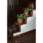 Arabia Arabia plant pot SN, 11 cm, matt brown, view 2