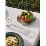 Arabia 24h plate deep, 22 cm, evergreen, decoration image