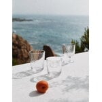 Arabia Mainio goblet, 30 cl, 2 pc, clear, decoration image