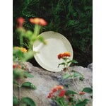 Arabia 24h Avec assiette 26 cm, vert, image décorative