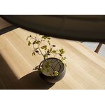 Karimoku Case N-DT01 dining table, 90 x 200 cm, lacquered oak, decoration image