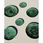 Serax Verde Lanza plate, L, 2 pcs, green, decoration image