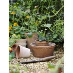 Bergs Potter Københavner flowerpot with saucer, 10 cm, 3-pack giftbox, raw rosa, decoration image