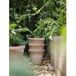 Bergs Potter Københavner flowerpot with saucer, 10 cm, 3-pack giftbox, raw rosa, decoration image