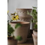 Bergs Potter Københavner flowerpot with saucer, 10 cm, 3-pack giftbox, raw rosa, decoration image